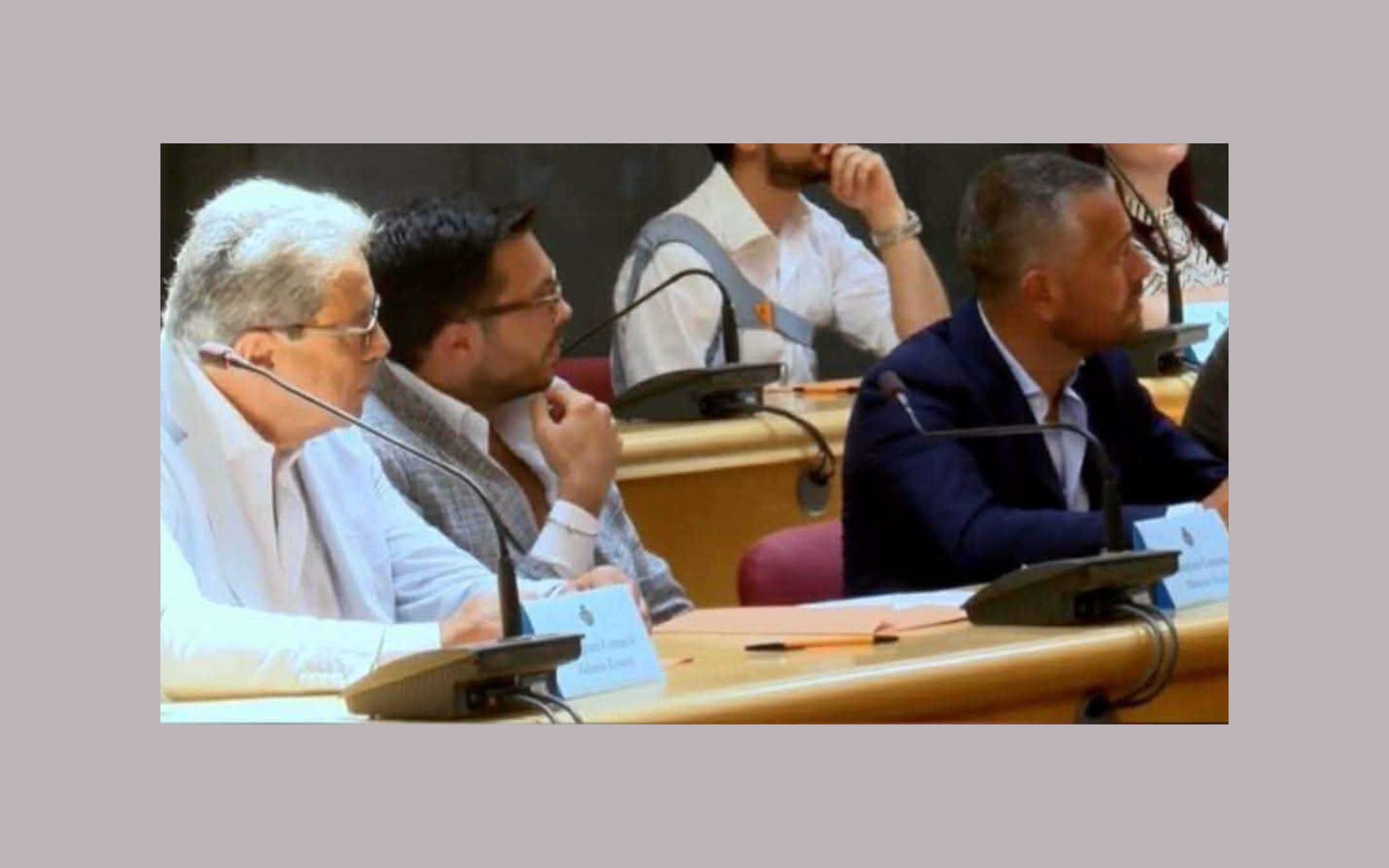 cristarelli mangani valiante nota