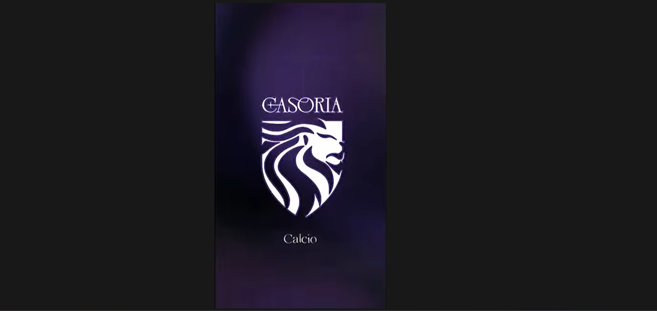 casoria calcio leoncino allenatore